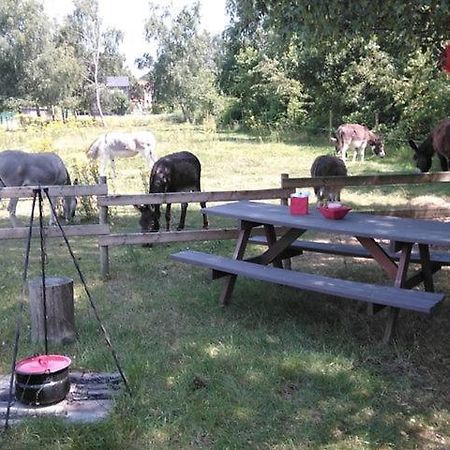 De Balkende Hoeve ارسخوت المظهر الخارجي الصورة
